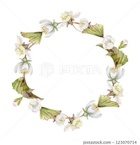 Spring white apple cherry sakura flowers buds leaves, forest cloudberry anemone primrose ephemera, hand drawn in watercolor. Wreath frame isolated illustration, for wedding, florist shop, scrapbooking Spring white apple cherry sakura flowers buds leaves, forest cloudberry anemone primrose ephemera, hand drawn in watercolor. Wreath frame isolated illustration, for wedding, florist shop, scrapbooking 123070714