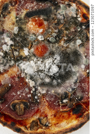 moldy pizza moldy pizza 123071097