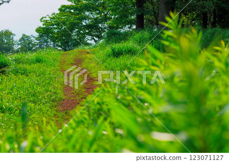 景觀與綠色 123071127