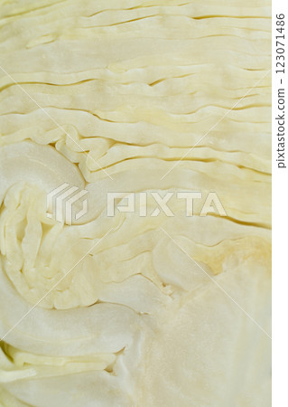 Macro Texture Cut White Cabbage, Abstract Vegetable Natural Background. 123071486