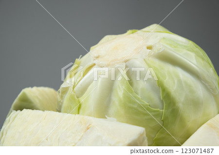 Fresh white cabbage on a gray background close-up. 123071487
