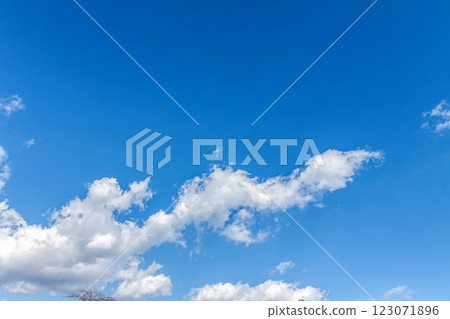 Clouds floating in the blue sky [Background material] 123071896