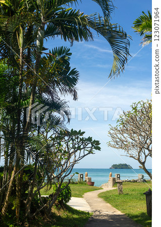 Palm Leaves on Blurred Sea Beach View Travel Background 123071964