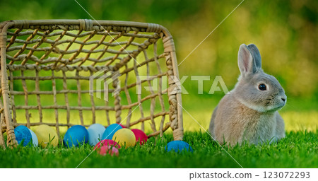 Gray rabbit sitting on green grass next to a tipped-over wicker basket filled with colorful Easter eggs, symbolizing Easter celebrations. 123072293
