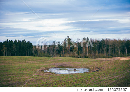 Spring landscape with forest trees and blue cloudy sky in Latvia 123073267