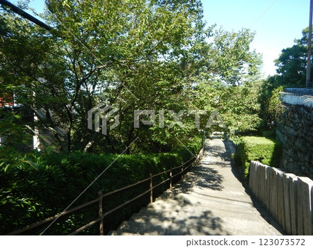 Temple steps surrounded by greenery 123073572