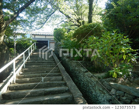 Temple steps surrounded by greenery 123073573
