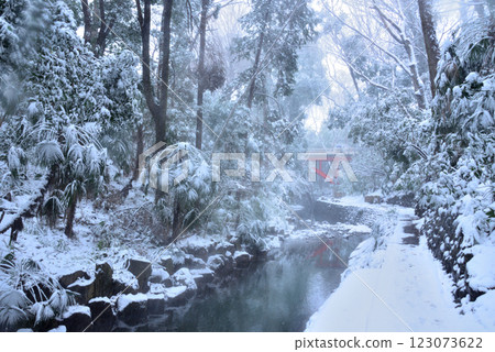 積雪覆蓋的等等力溪谷高爾夫橋 積雪覆蓋的等等力溪谷高爾夫橋 123073622