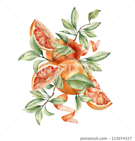 Grapefruit tree foliage and citrus fruits watercolor illustration isolated background. Bright summer composition hand drawn with sliced red orange ripe, leaves for packaging, label aroma product. 123074327