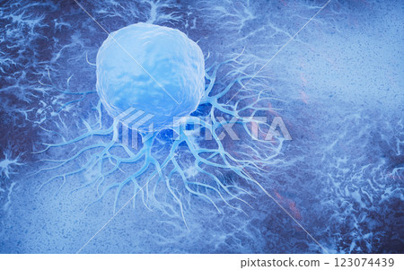 cancer, cells, biology 123074439