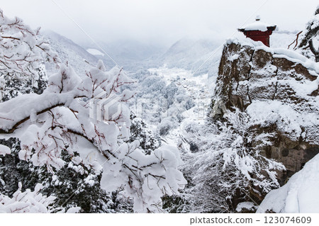 Snowy mountain pagoda 123074609