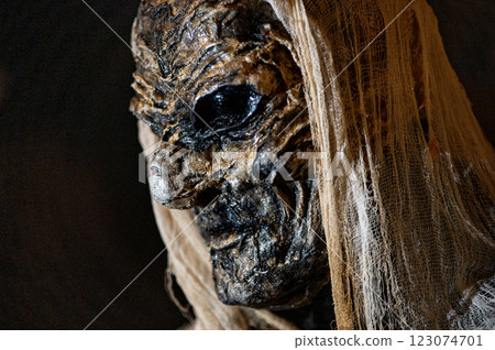 Close-up of witch face on a dark halloween horror night background Close-up of witch face on a dark halloween horror night background 123074701