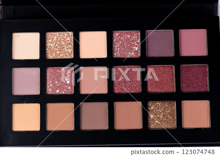 Exploring a Stunning Eyeshadow Palette: A Versatile Collection of Rich Earthy Tones and Sparkling Shades for Creative Makeup Looks 123074748