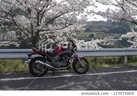 Bike under the cherry blossoms 123074869