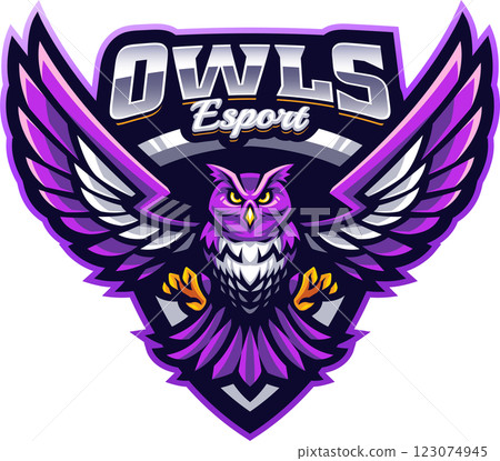 Owls esport mascot  123074945