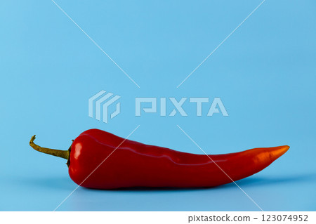 Vibrant Red Chili Pepper on a Bright Blue Background A Deliciously Spicy Addition to Your Culinary Adventures and Creative Cooking Projects Vibrant Red Chili Pepper on a Bright Blue Background A Deliciously Spicy Addition to Your Culinary Adventures and Creative Cooking Projects 123074952