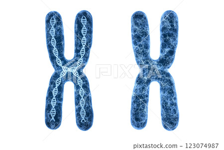 isolated, laboratory, biomedical 123074987