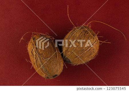 Unique Visual of Two Brown Organic Objects on a Vibrant Red Background Representing Nature's Textures and Forms in Still Life Photography 123075545