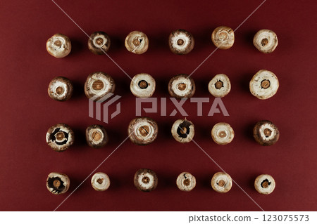 A Captivating Display of Mushrooms Arranged Neatly on a Maroon Background, Showcasing Different Varieties and Their Unique Characteristics in a Creative Layout 123075573
