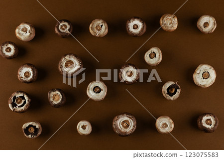 A Beautiful Arrangement of Mushrooms Showcasing their Unique Circular Shapes and Textures on a Warm Brown Background A Beautiful Arrangement of Mushrooms Showcasing their Unique Circular Shapes and Textures on a Warm Brown Background 123075583