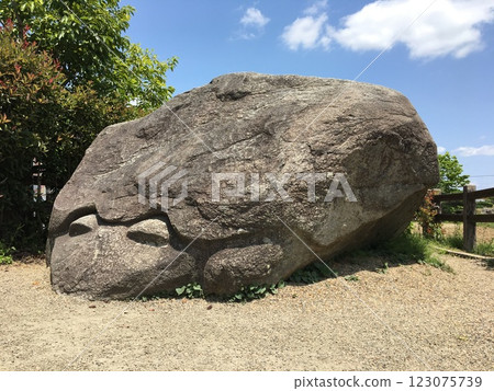 "Turtle Stone" in Asuka Village "Turtle Stone" in Asuka Village 123075739