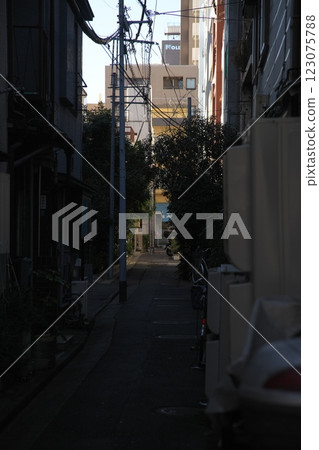 250129_011城市景觀 123075788