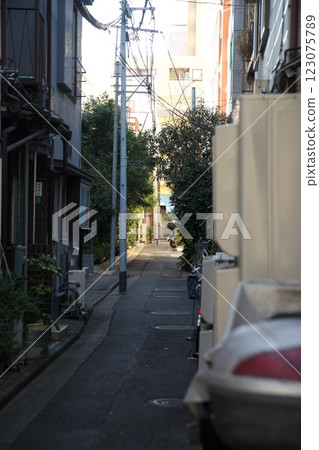 250129_012城市景觀 123075789