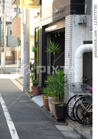 250129_013城市景觀 123075790