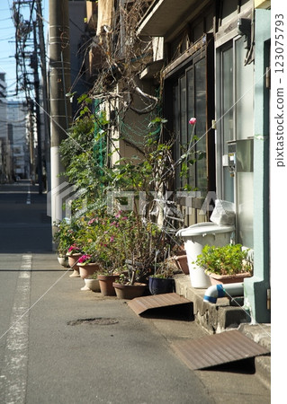 250129_016 Cityscape 123075793