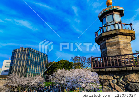 東京千代田區千鳥淵綠道的櫻花 123076027