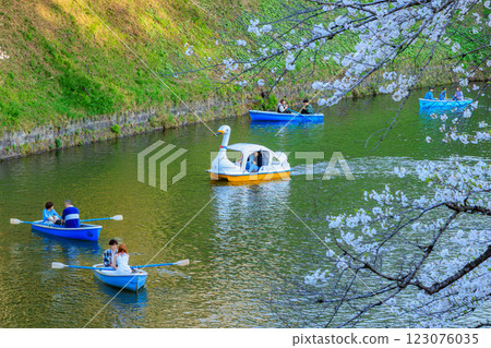 東京千代田區千鳥淵綠道的櫻花 123076035