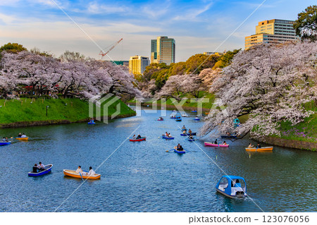東京千代田區千鳥淵綠道的櫻花 東京千代田區千鳥淵綠道的櫻花 123076056