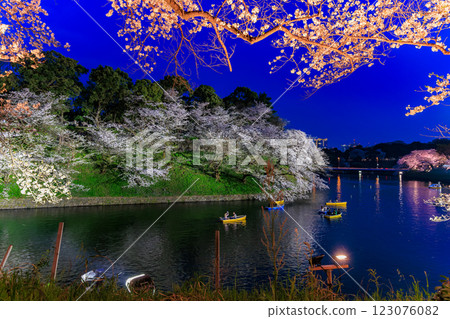 東京千代田區千鳥淵綠道的櫻花 123076082