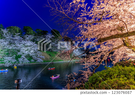 東京千代田區千鳥淵綠道的櫻花 東京千代田區千鳥淵綠道的櫻花 123076087