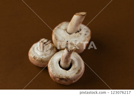 A Trio of Fresh White Mushrooms Captured Against a Warm Brown Background, Showcasing Their Unique Shapes and Textures in Natural Light Perfect for Culinary Inspiration A Trio of Fresh White Mushrooms Captured Against a Warm Brown Background, Showcasing Their Unique Shapes and Textures in Natural Light Perfect for Culinary Inspiration 123076217