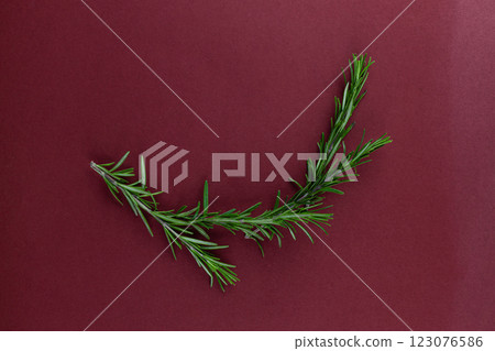 Fresh Rosemary Herb Branch Arranged Elegantly Over a Maroon Backdrop, Perfect for Culinary and Decorative Inspirations 123076586