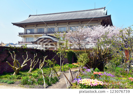 滋賀:琵琶湖大津館與垂枝櫻花 滋賀:琵琶湖大津館與垂枝櫻花 123076739