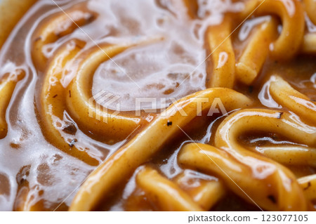 Image of curry udon (stock photo) 123077105