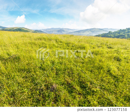 mountainous countryside landscape in summer. alpine freshness. grassy meadow on top of a hill. distant mountain ridge in morning light. sunny weather with clouds on the blue sky. natural environment mountainous countryside landscape in summer. alpine freshness. grassy meadow on top of a hill. distant mountain ridge in morning light. sunny weather with clouds on the blue sky. natural environment 123077158