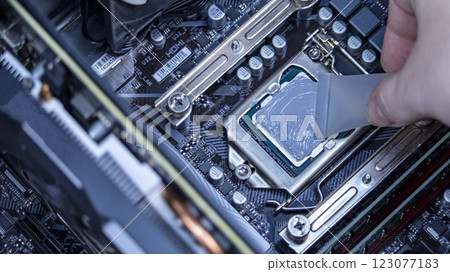 girl programmer apply thermal paste on the computer processor, macro photography 123077183