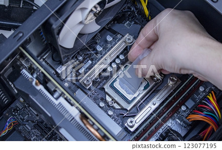 girl programmer apply thermal paste on the computer processor, macro photography girl programmer apply thermal paste on the computer processor, macro photography 123077195