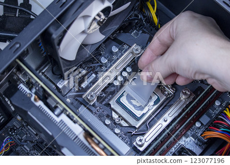 girl programmer apply thermal paste on the computer processor, macro photography girl programmer apply thermal paste on the computer processor, macro photography 123077196