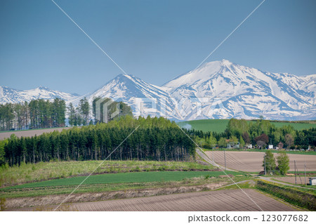 Fresh green forest and snow covered mountain range, Tokachidake Mountain Range 123077682