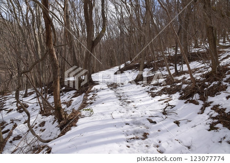 Mount Yadai 123077774