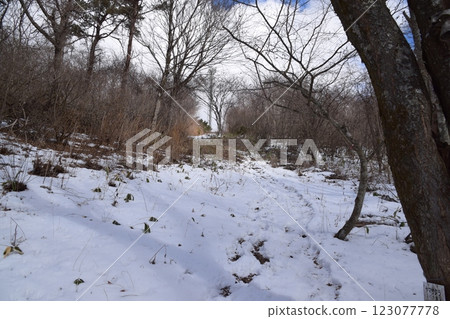 Mount Yadai Mount Yadai 123077778