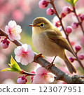 Nightingale and Plum Blossoms 123077951