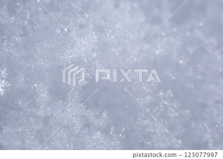 堆雪 堆雪 123077997