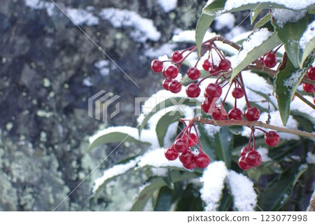 白雪皚皚的萬嶺 123077998