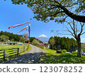 Mt. Fuji and carp streamers 123078252