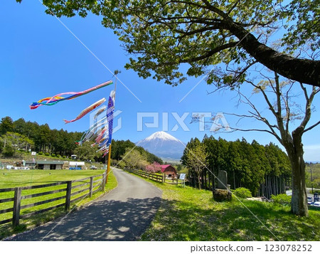 Mt. Fuji and carp streamers 123078252